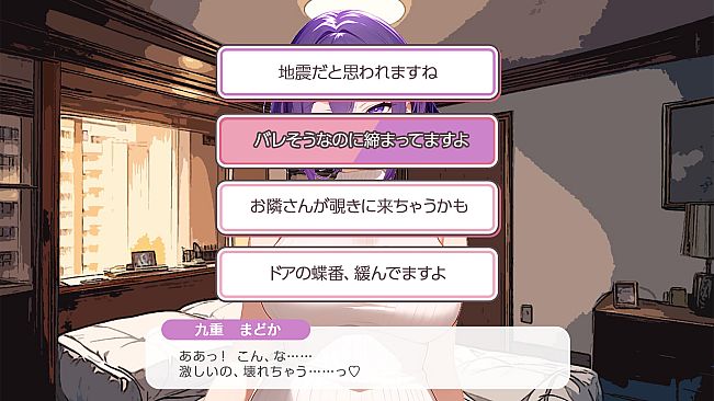 Tokyo SEX District