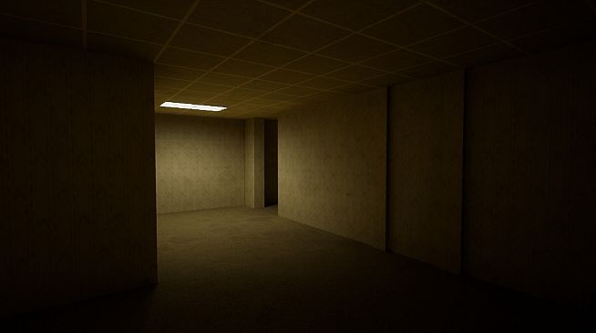 The Backrooms Deluxe