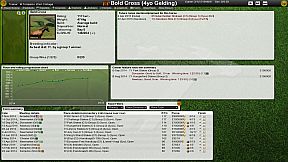 Starters Orders 6 Horse Racing