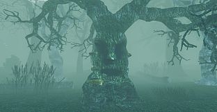 I Hear the Forest
