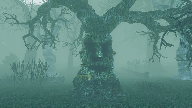 I Hear the Forest