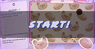 Cat or Potat
