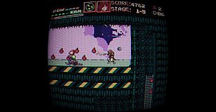 Cybernetic Ninja Nuns