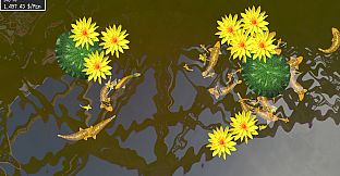 Tranquil Koi 鯉の池