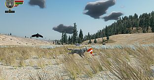 WolfQuest Anniversary - Hellroaring Mountain