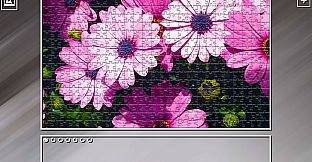 Super Jigsaw Puzzle: Generations - Flowers 2