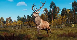 Way of the Hunter - Lintukoto Reserve