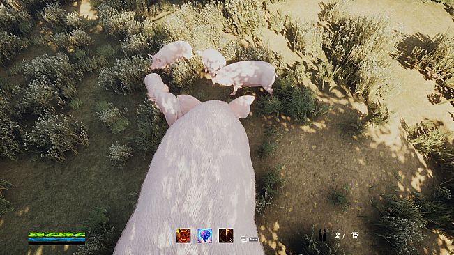 Happy Surprise Garden