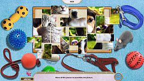 Sweet Home: Look and Find Collector's Edition