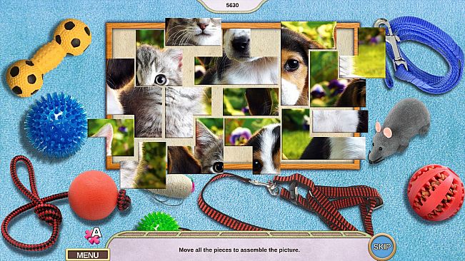 Sweet Home: Look and Find Collector's Edition