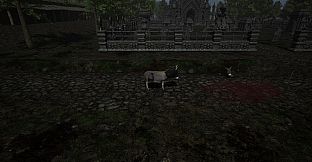 Immortal Donkey: 1346