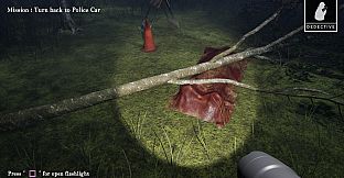 Quiet Evidence: A Detective Mystery Case