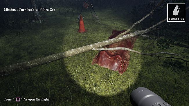 Quiet Evidence: A Detective Mystery Case