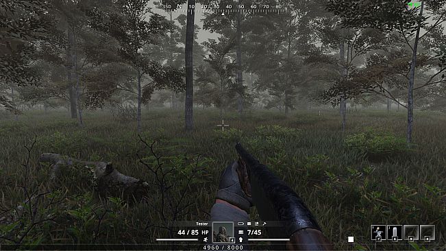 The Exclusion Zone Online