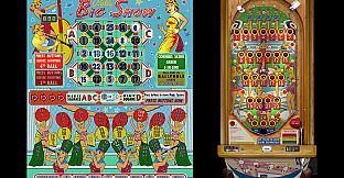 Bingo Pinball Gameroom - Bally Big Show