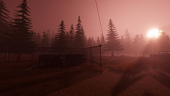 The Radio Tower