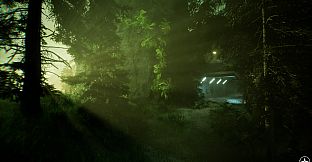 Fallen Forest: Echoes Within