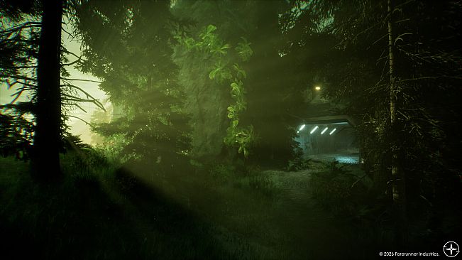 Fallen Forest: Echoes Within