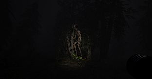 Echoes of Sin: Confusion