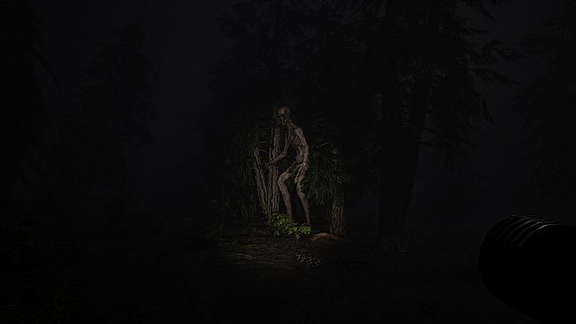 Echoes of Sin: Confusion