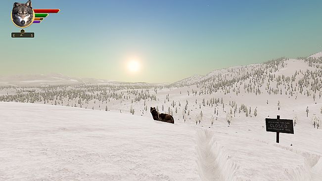 WolfQuest Anniversary - Tower Fall