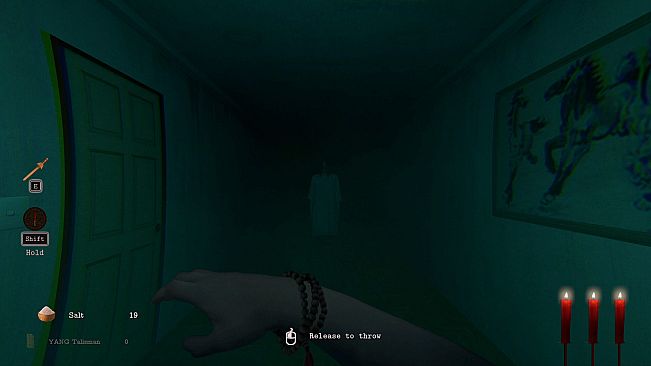 The apartment case