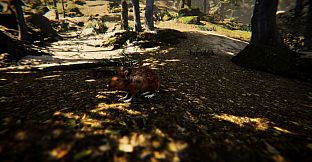 Animal