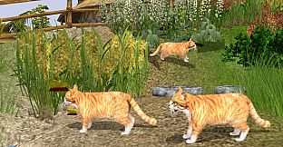 Wildlife Park 2 - Domestic Animals