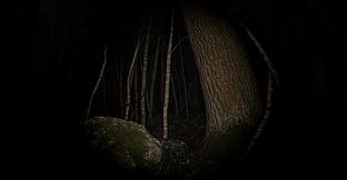 Playback Trauma: The Dog