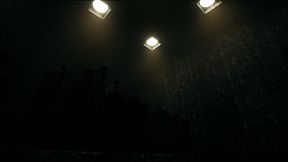 The Watcher In The Bright