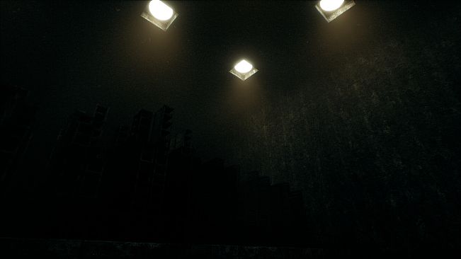 The Watcher In The Bright