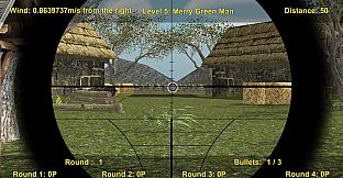 Precision Sniping: Competitive