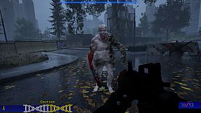 Entropic Decay: Prologue