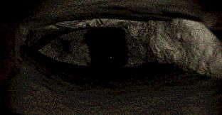 It lives under the house.