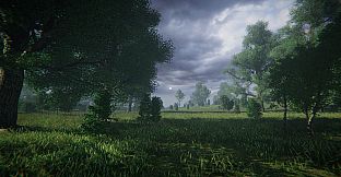 LONELINESS SIMULATOR IN THE RUSSIAN VILLAGE