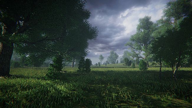 LONELINESS SIMULATOR IN THE RUSSIAN VILLAGE