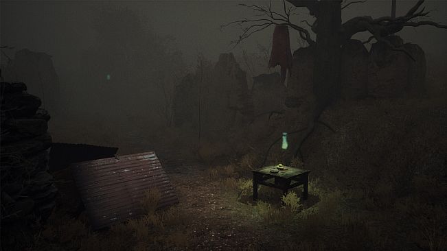 Phantom Loop: Full Circle