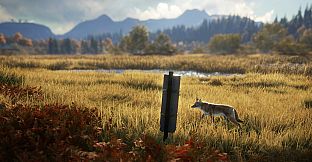 theHunter: Call of the Wild - Game Feeder Pack 2