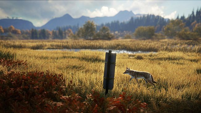 theHunter: Call of the Wild - Game Feeder Pack 2