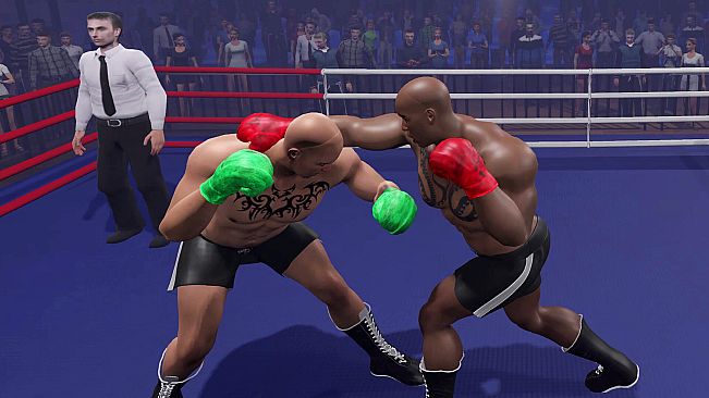 Boxing Knockout Showdown