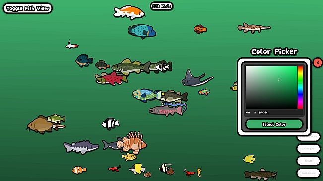 Cozy Aquarium