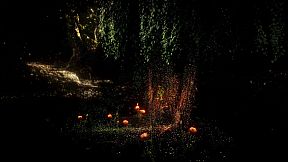 Floating with Spirits