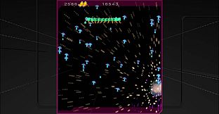 Centipede & Millipede