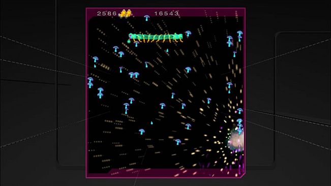 Centipede & Millipede