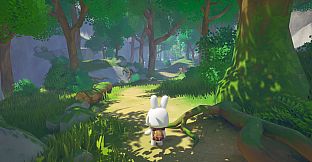 Vanlife Journey and Bunny’s Wishlist