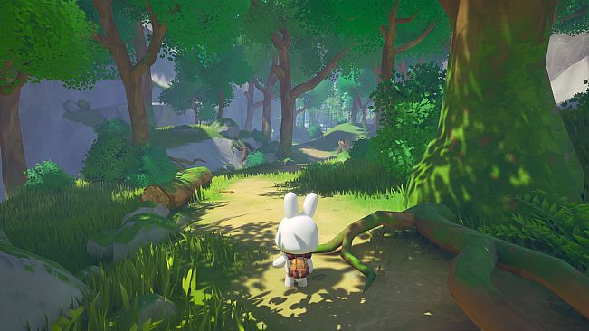 Vanlife Journey and Bunny’s Wishlist