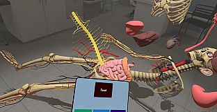 Human Constructor VR