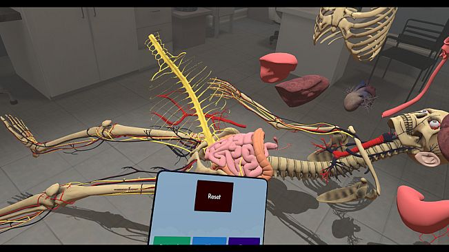 Human Constructor VR