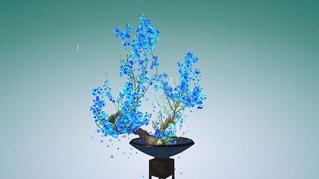 Tree Bonsai
