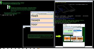 City of Ages: Picture Supportive Text MUD (server and client included)